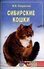 Сибирские кошки