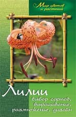 Лилии: выбор сортов, выращивание и размножение, дизайн