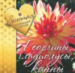 Георгины,гладиолусы,канны