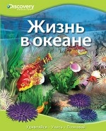 Жизнь в океане