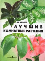 Лучшие комнатные растения
