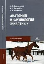 Анатомия и физиология животных