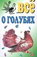 Все о голубях