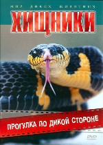 Мир диких животных. Хищники. Прогулка по дикой стороне