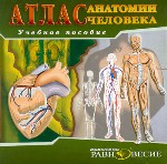 Атлас анатомии человека