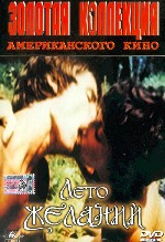 Лето желаний