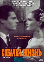 Собачья жизнь