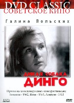 Дикая собака Динго