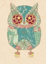 Бриллиантовая сова. Блокнот для записей