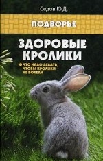 Здоровые кролики: что надо делать, чтобы кролики