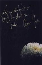 Вульгарность хризантем