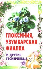 Глоксиния, узумбарская фиалка и другие геснериевые