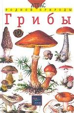 Грибы. Учебное пособие для школьников младших и средних классов