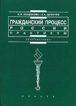 Гражданский процесс России. Практикум