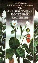 Дикорастущие полезные растения