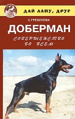Доберман. Совершенство во всем