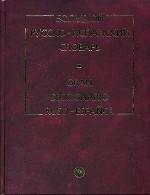 Большой русско-испанский словарь