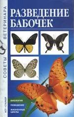 Разведение бабочек
