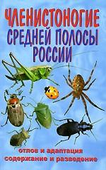 Членистоногие Средней полосы России