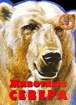 Животные севера