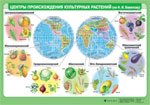 Центры происхождения культурных растений (по Н. И. Вавилову) / Строение и функции углеводов. Плакат