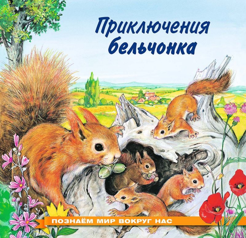 Приключения бельчонка
