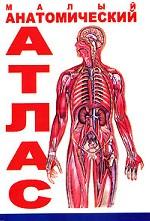 Малый анатомический атлас
