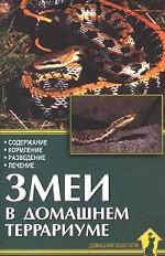 Змеи в домашнем террариуме