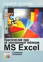 Практический курс по электронным таблицам MS Excel. Учебное пособие для ВУЗов. 2-е издание