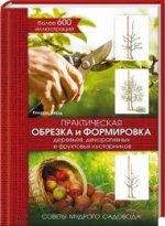 Практическая обрезка и формировка деревьев, декор
