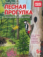 Лесная прогулка.Находилка-определялка с иллюстр.5+