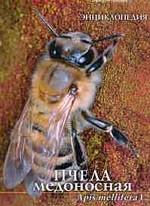 Пчела медоносная. Энциклопедия