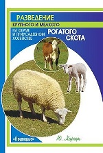 Разведение крупного и мелкого рогатого скота на ферме и приусадебном хозяйстве