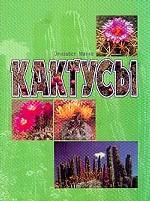 Кактусы