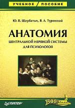 Анатомия центральной нервной системы для психологов