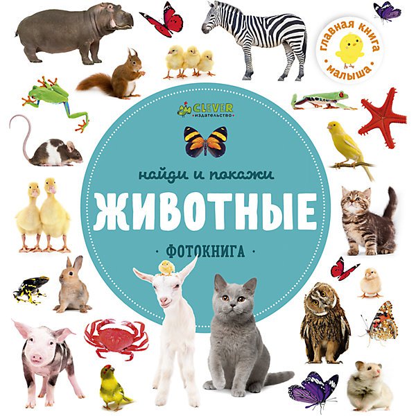 Найди и покажи. Животные