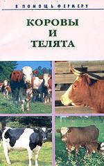 Коровы и телята. Разведение, выращивание