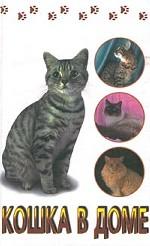 Кошка в доме
