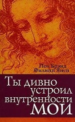 Ты дивно устроил внутренности мои