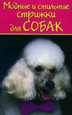 Модные и стильные стрижки для собак
