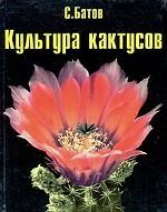 Культура кактусов