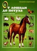 От лошади до петуха. Домашние животные