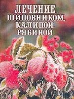 Лечение шиповником, калиной, рябиной