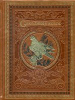 К37БЗ Соколиная охота. (кожа, золот. тиснен.)