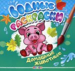 Водные раскраски. Домашние животные