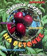 На веточке (тесты-картинки)