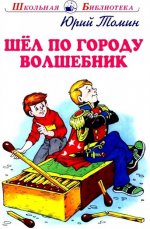 Шёл по городу волшебник с цветными рисунками