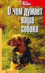 О чем думает ваша собака