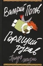 Горящий рукав. Проза жизни