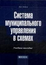 Система муниципального управления в схемах. Учебное пособие